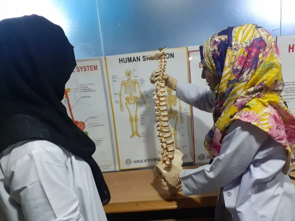 Doctor of Physical Therapy
